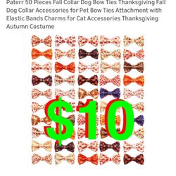 50 Pieces Fall Collar Dog Bow Ties Thanksgiving Fall Dog Collar Accessories for Pet Bow Ties Attachment with Elastic Bands Charms for Cat Accessories 