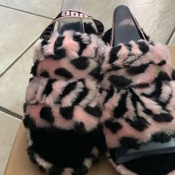 UGG  Slippers 