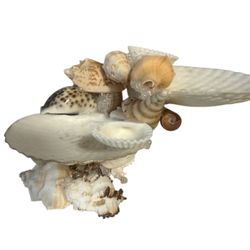 Handmade Seashell Jewelry Holder – Beachy, Spiritual, and Decorative