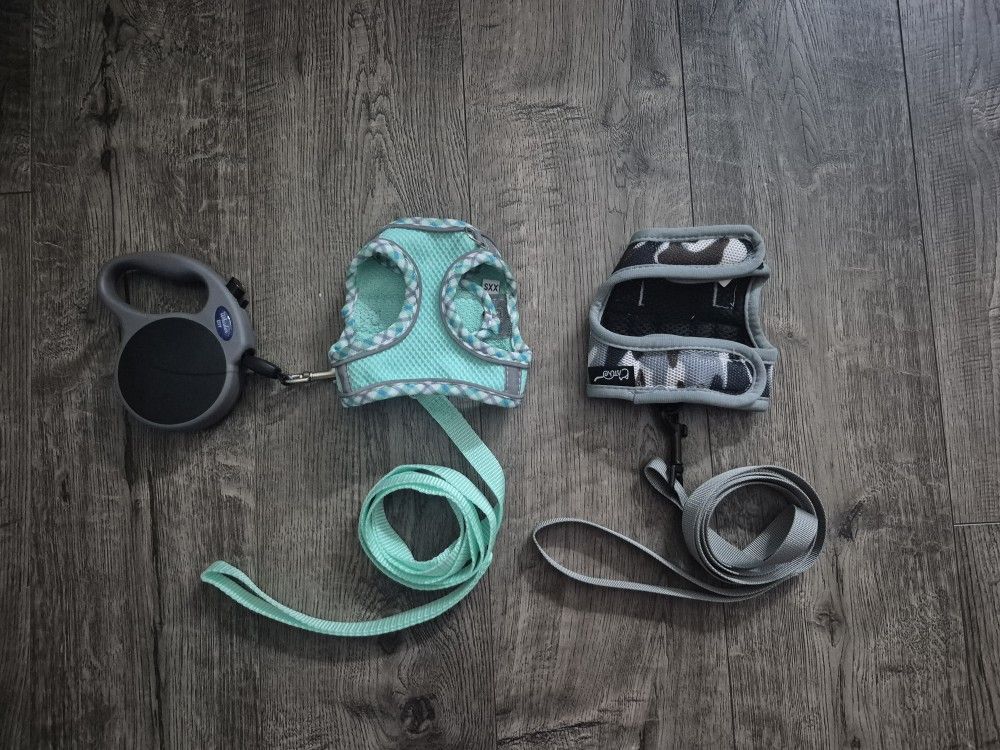 Leash And Harness