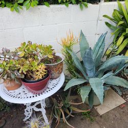 Big sale today Sunday!!!!!!!