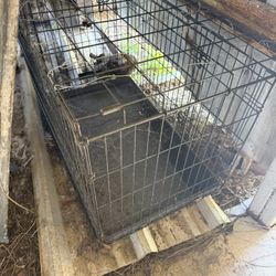 Medium Size dog Crate 