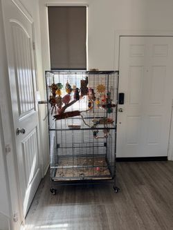 Pink bird cage