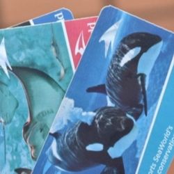 8 Seaworld 🌊 Tickets 🎟  