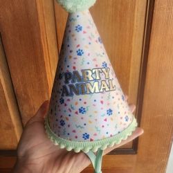 Pet Dog Cat birthday Party Hat 