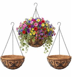 3 Pack - 12” Hanging Baskets: Butterfly Design