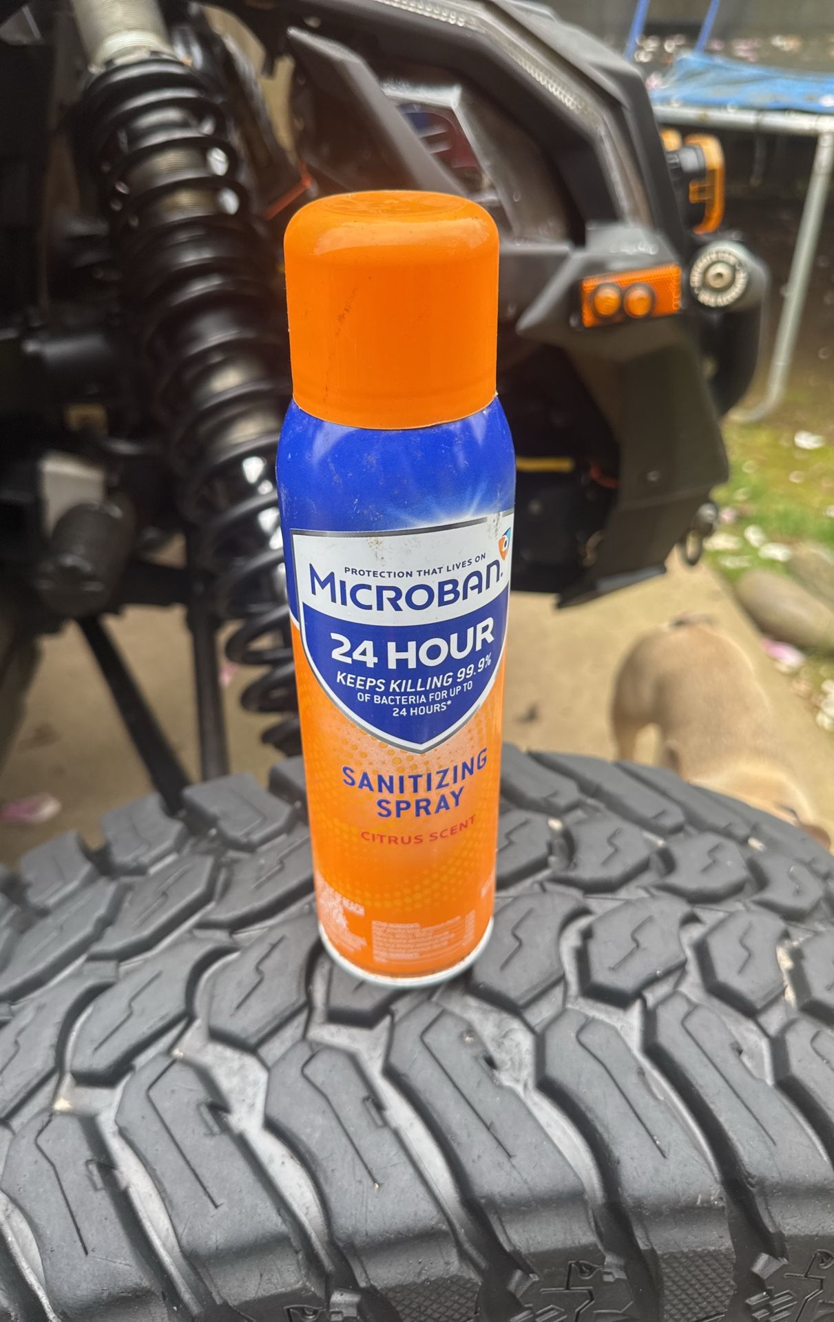 Sanitizing Spray