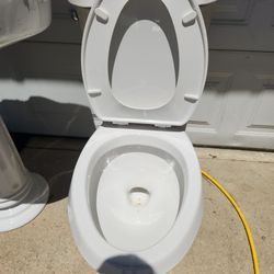 Toilet and vanity sing