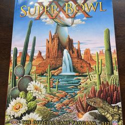 Super Bowl 30 Program