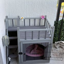 Dog House 