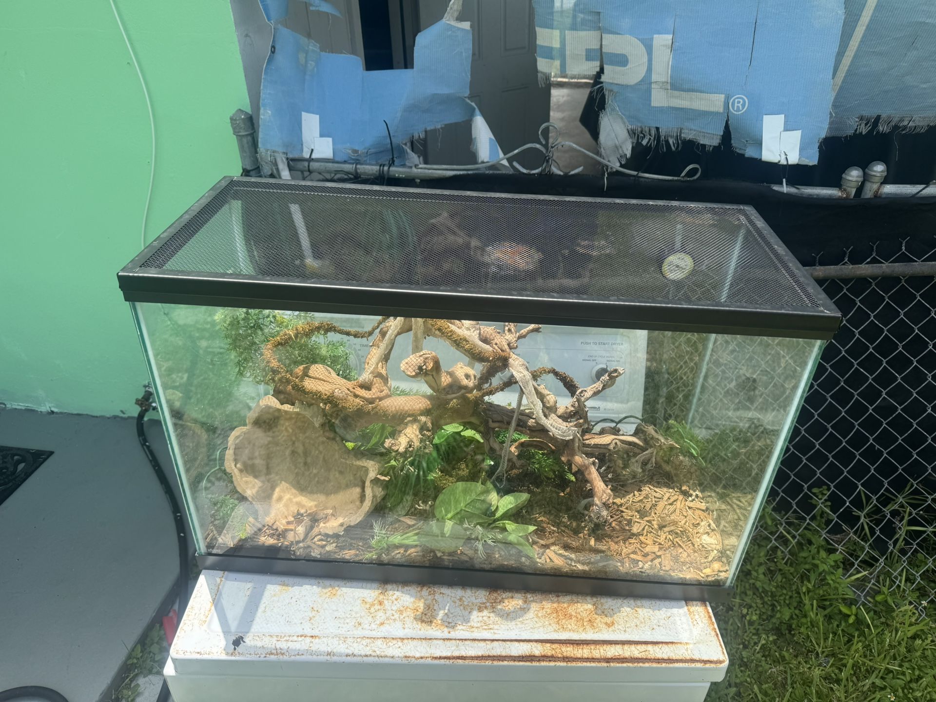 Reptile Terrarium Tank