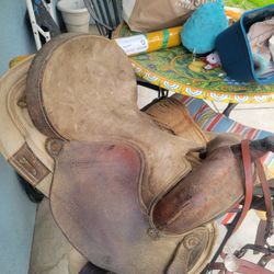 Saddle, Pad, and Bridle
