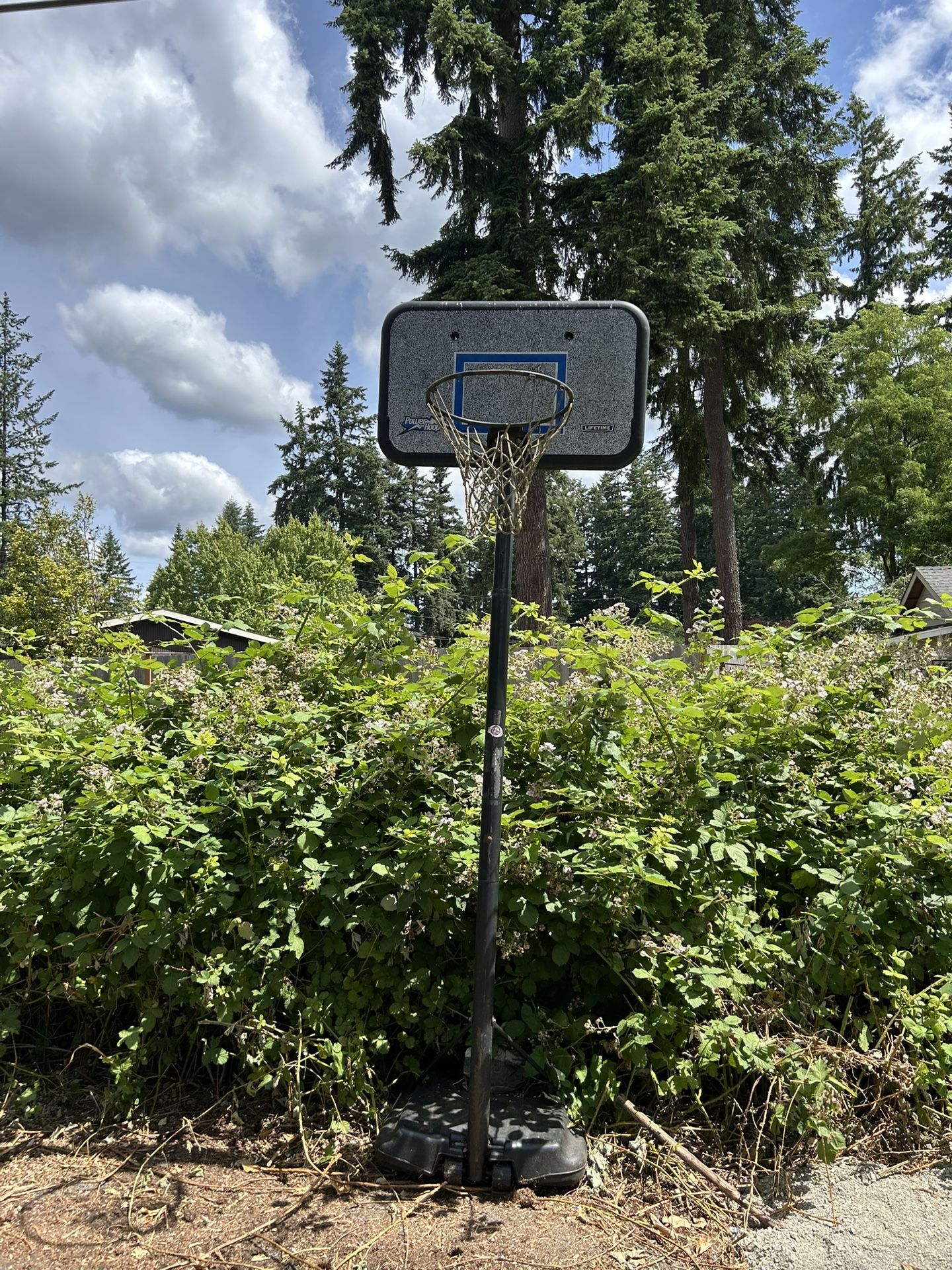 FREE Basketball Hoop