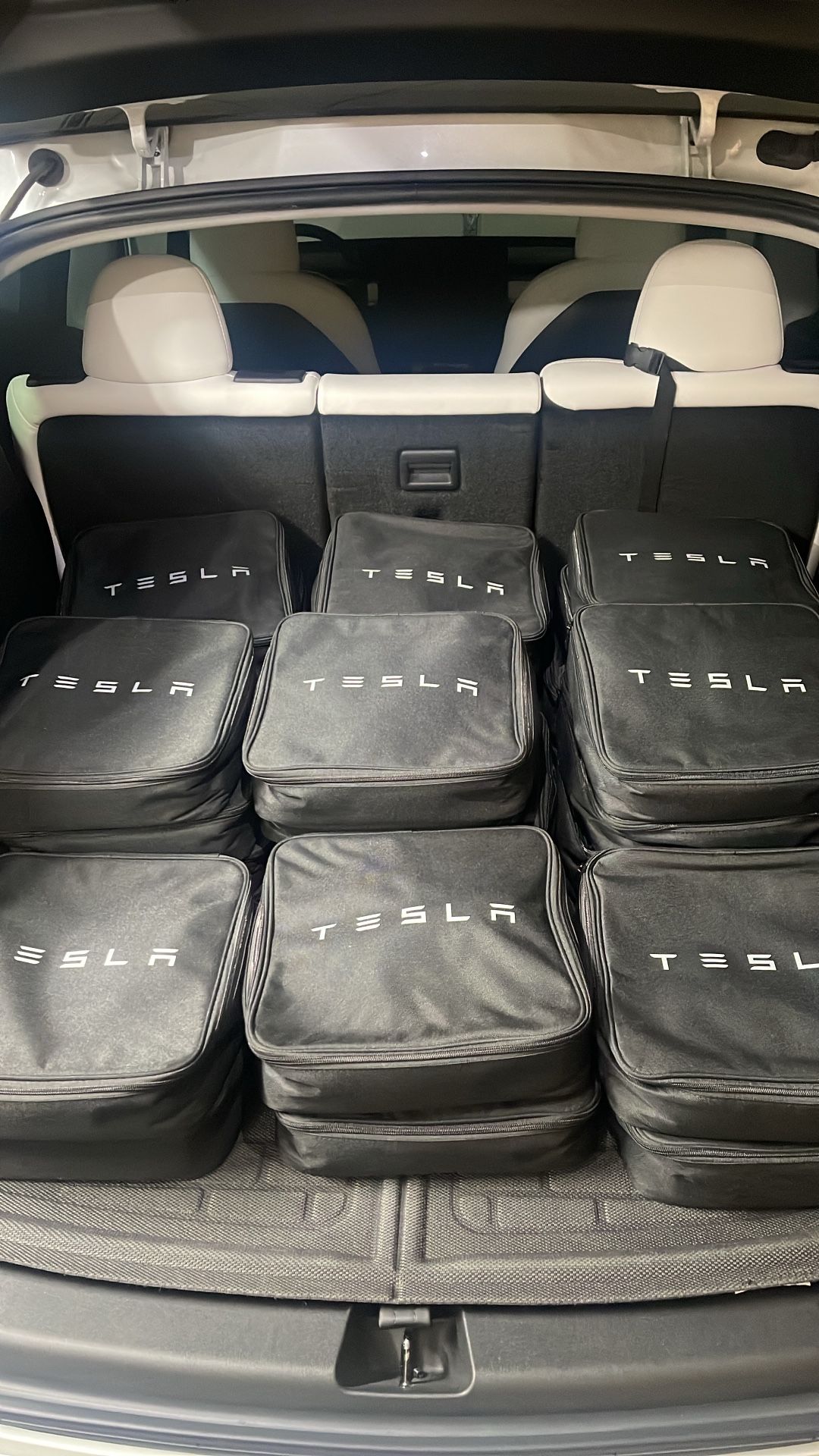 ⚡ Tesla Gen 2 Mobile Connector – 110V Adapter + Carry Case | $160 | OEM Tested & Guaranteed