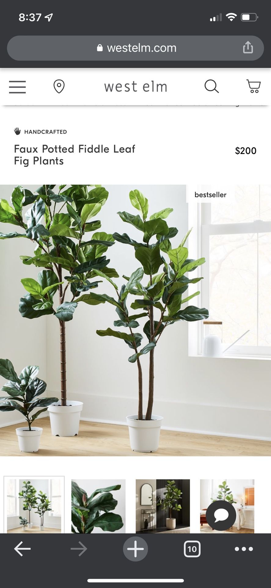 **Pending** 5’ West elm Faux Fiddle Leaf Fig Plant