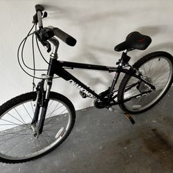 Diamondback Wildwood Mountain Bike