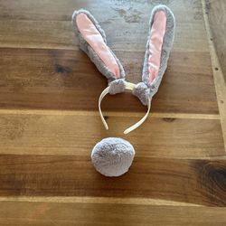 Bunny Ears And Tail