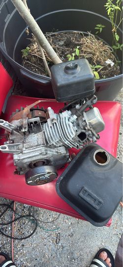 gx200 it runs (i have a gas tank and side cover )