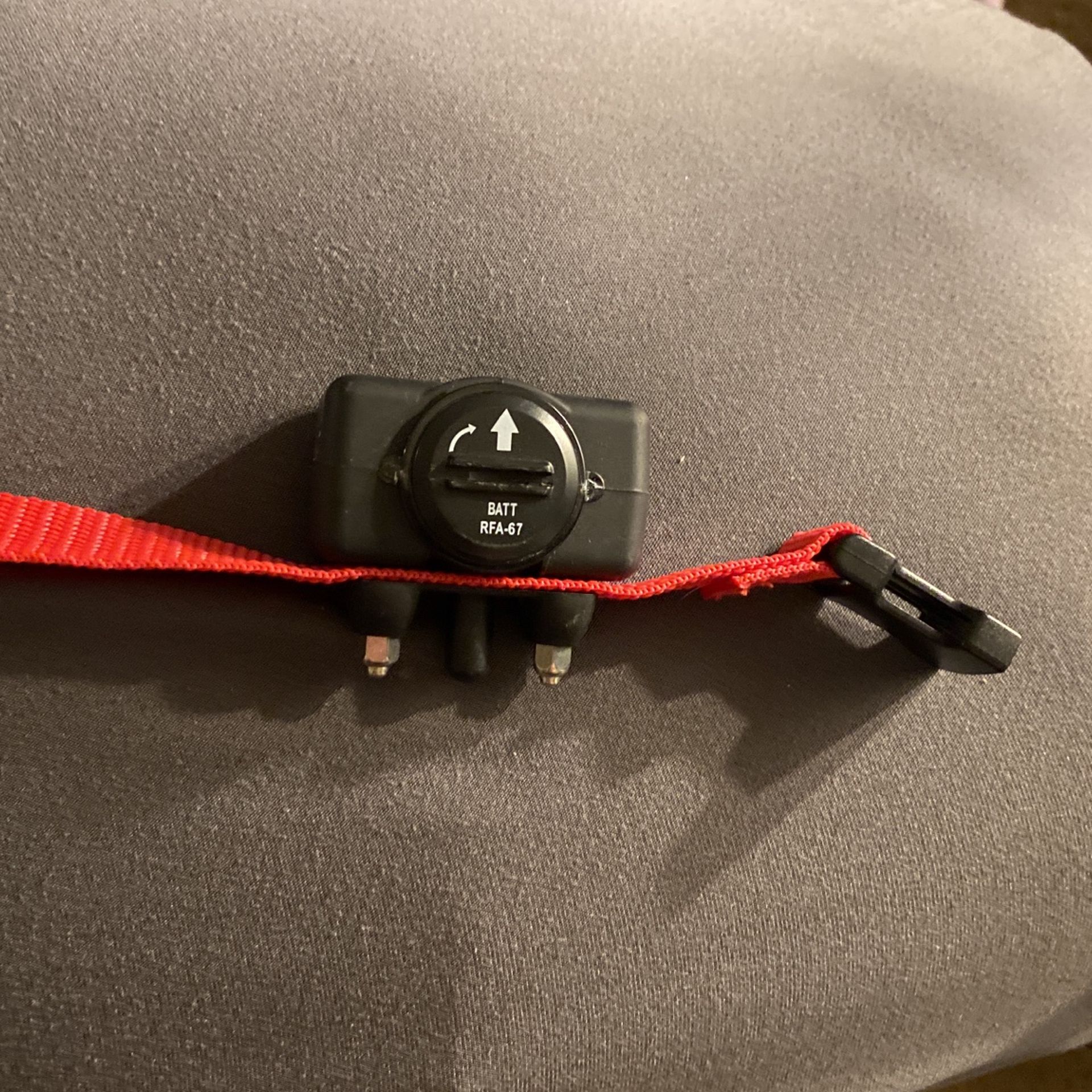 Bark Collar For Dogs