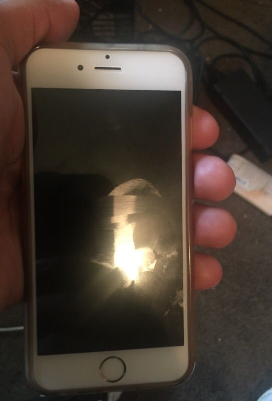 iPhone 6