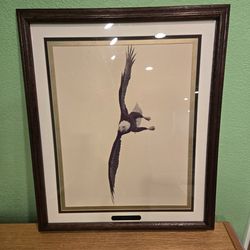 Framed And Certified Bald Eagle Art