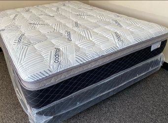King Oasis Thermal Comfort Europillow Top 12inch Matres!!