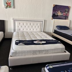 White Queen Platform Bed Frame 