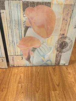 canvas pictures