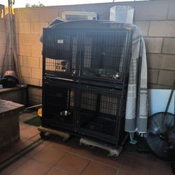 Dog Kennel 