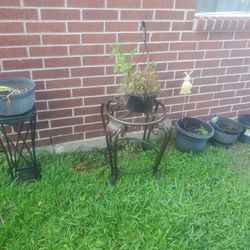 Plant Stands And Pots