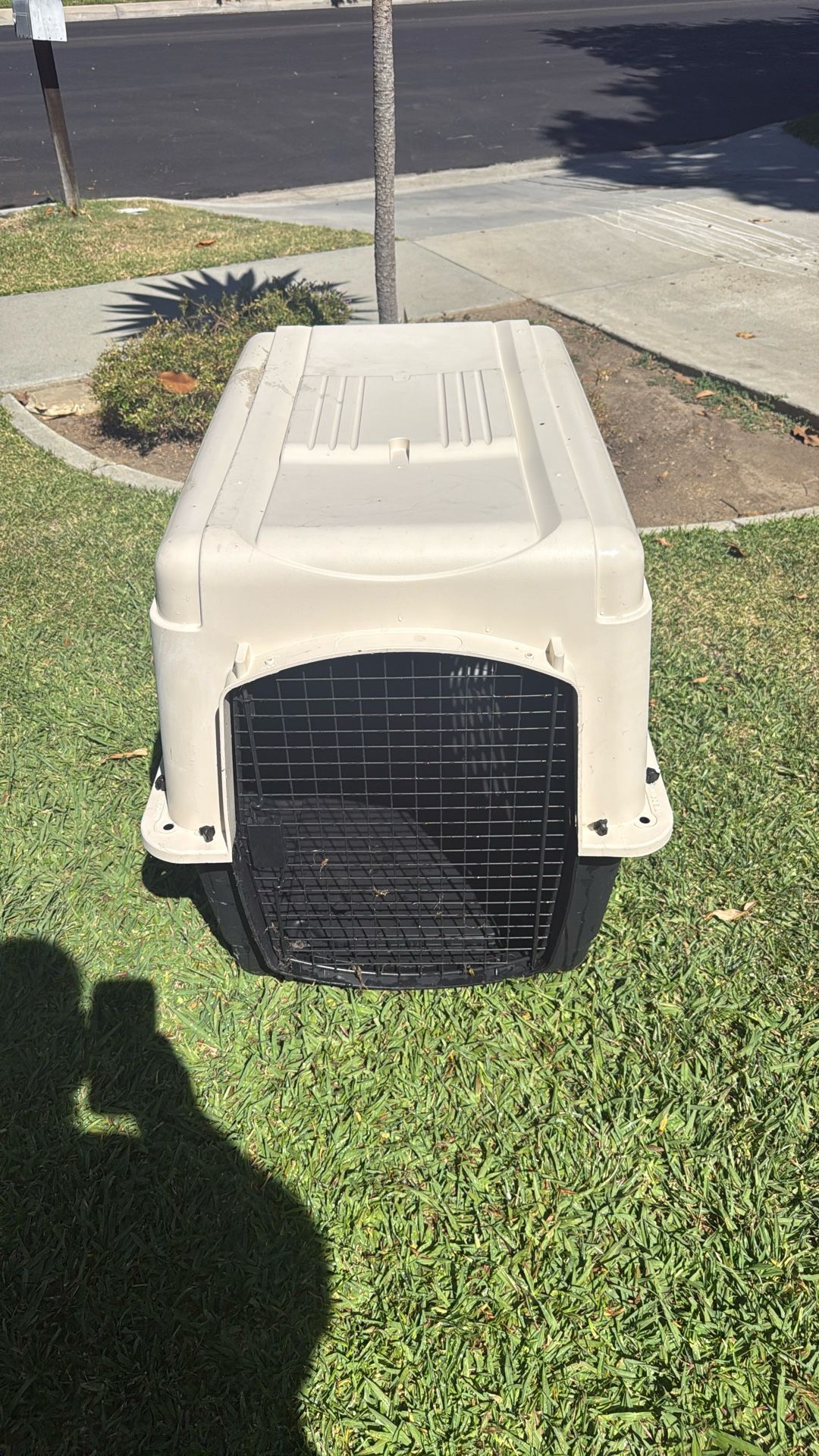 Dog Crates