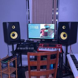Rockville 10 Inch Studio Monitor 