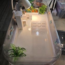 Complete Turtle Tank Setup Bundle – $80