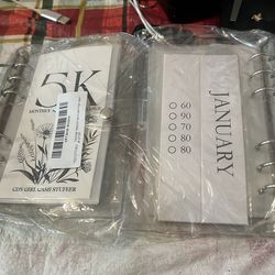 Monthly savings challenge book