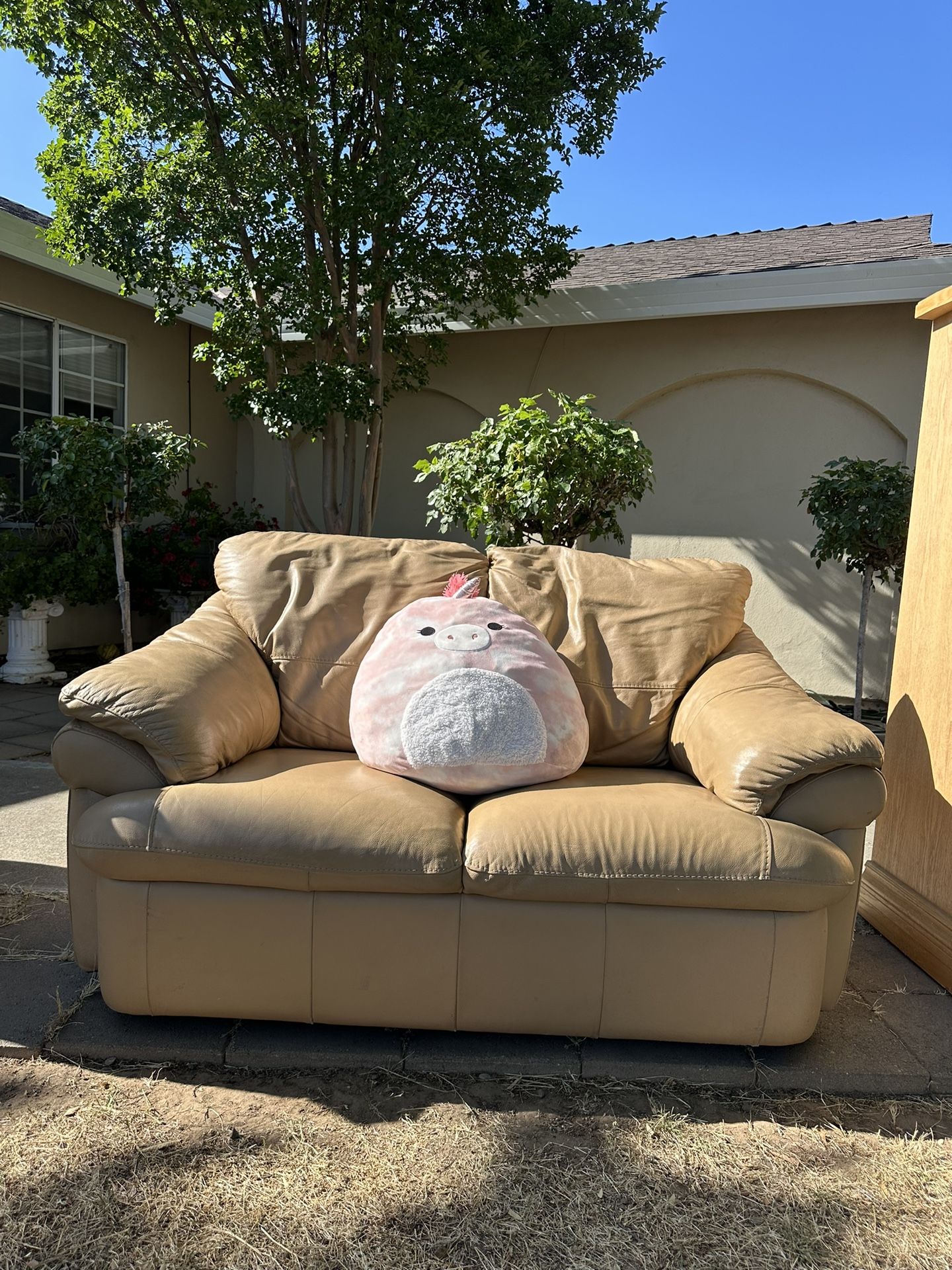 Leather Couch
