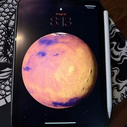 iPad Mini + Apple Pencil Pro