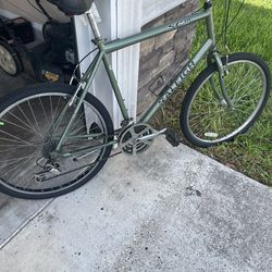 Raleigh Bike