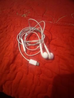 Earphones