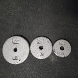 80 Pounds Of Weight Plates For Standard Barbells And Dumbbells