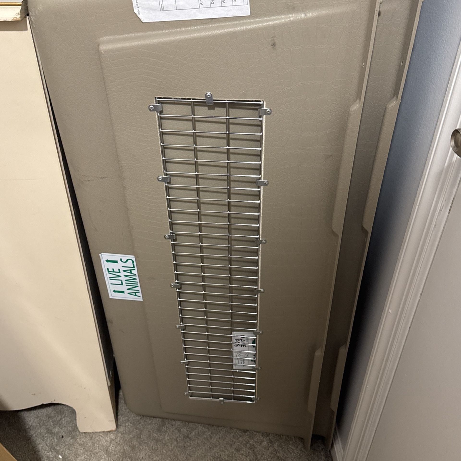 Petmate Air Dog Crate