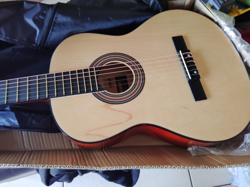 Pyle Lefty Guitar ( New ) 