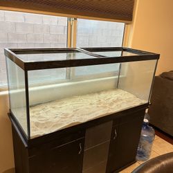 Fish Tank Lizard Tank 