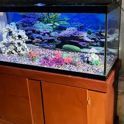 fish tank (pls read description)