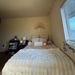 Queen Bed And Mattress 