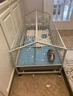 48” large rodent cage guinea pig mouse rabbit chinchilla
