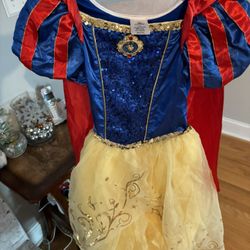 Disney Princess Dresses and Spirit  Costumes 