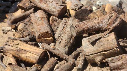 Wood logs for fire