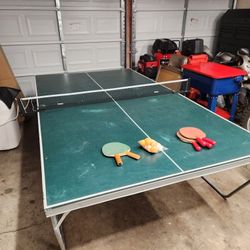 Ping Pong Table