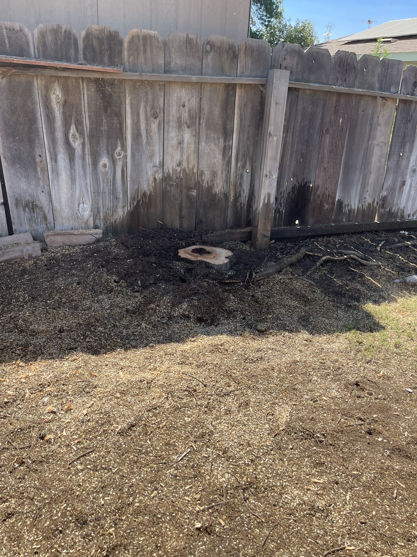 Stump Grinding