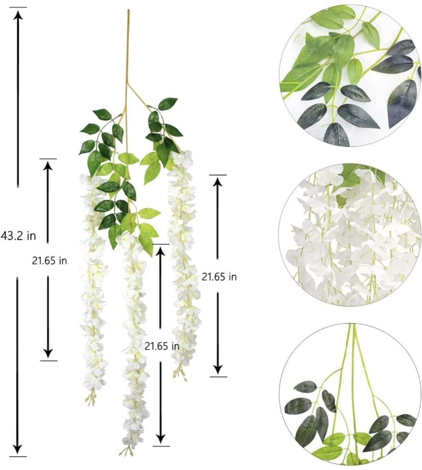 25 Pack Hanging Wisteria